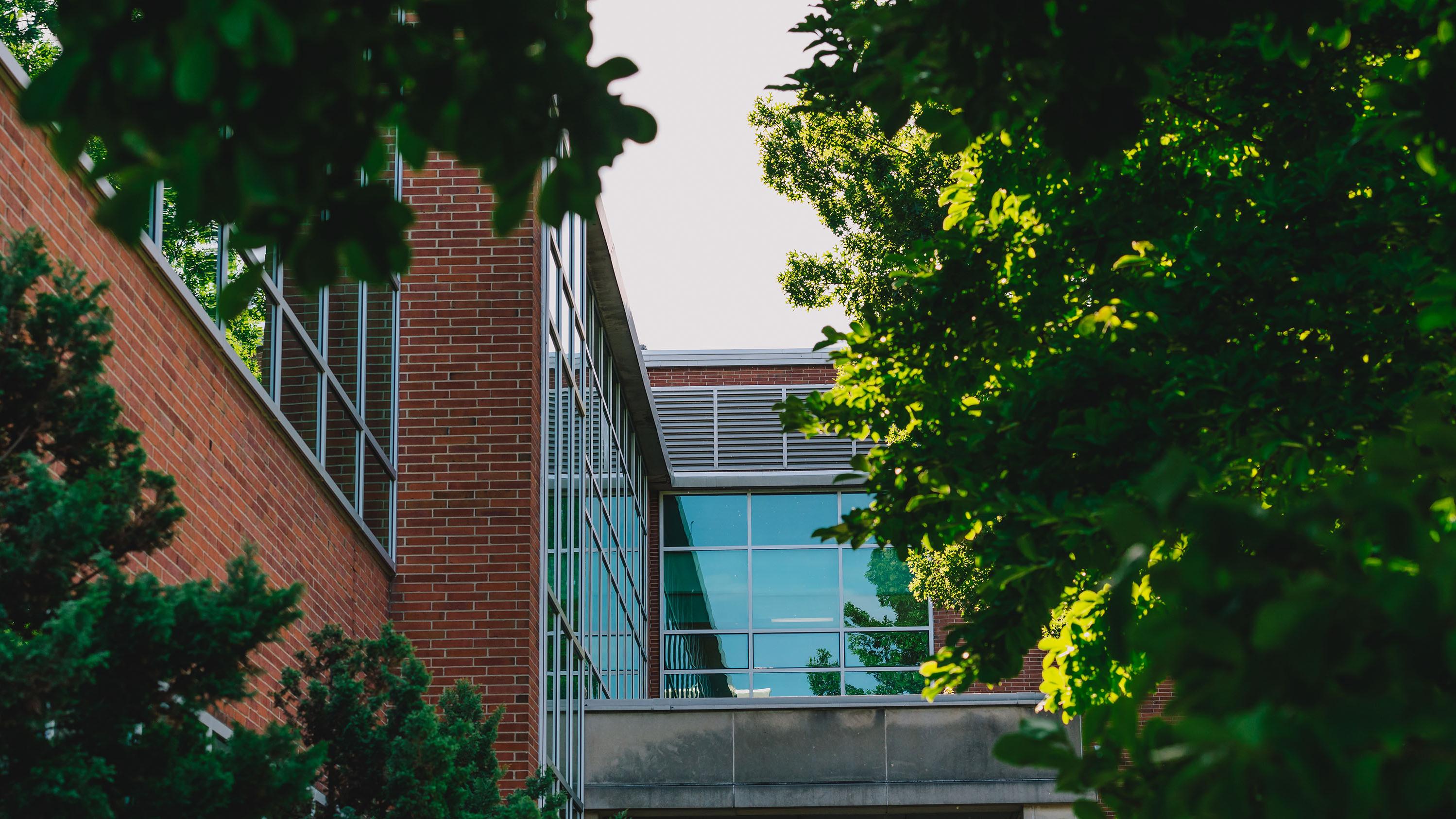 Office of Student Support and Accountability | Michigan State University